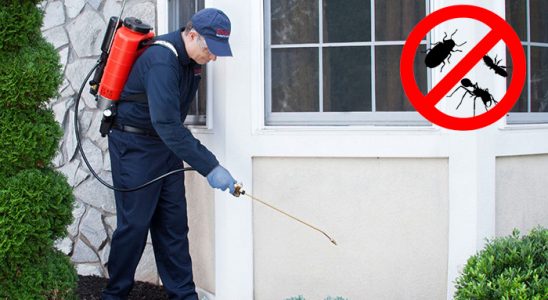 Kayapınar Kene İlaçlama böcek ilaçlama ve haşere kontrolü — ilaclama-tr.com